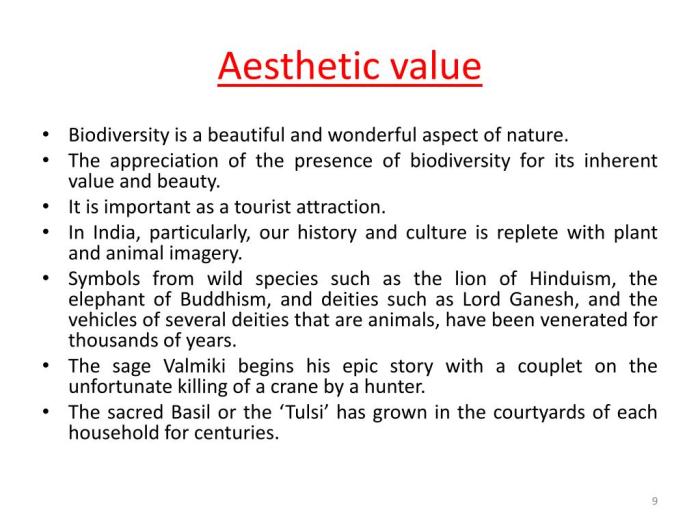 Biodiversity value aesthetic its conservation ppt powerpoint presentation slideserve