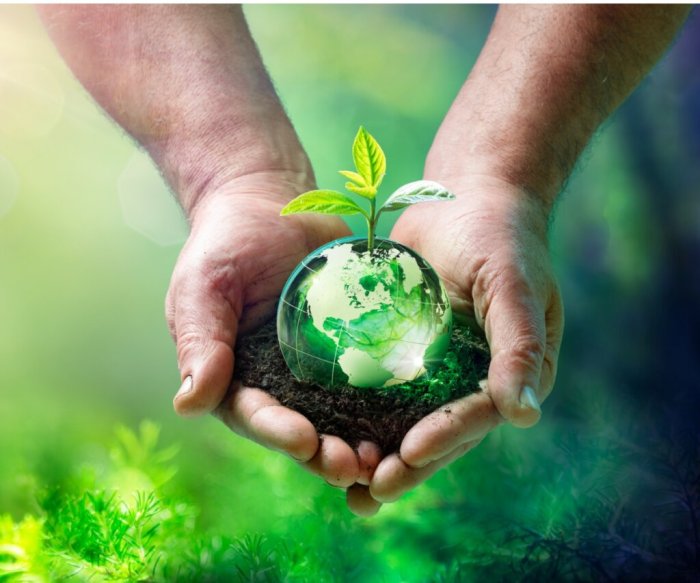 Balance ecological preserving crucial environment vector bhawana